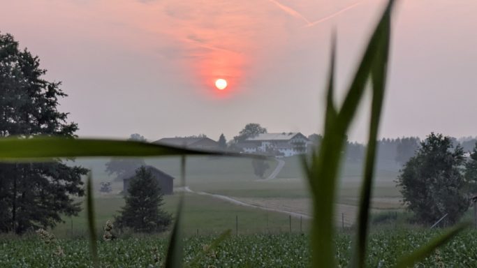 Sonnenuntergang in Ullerting