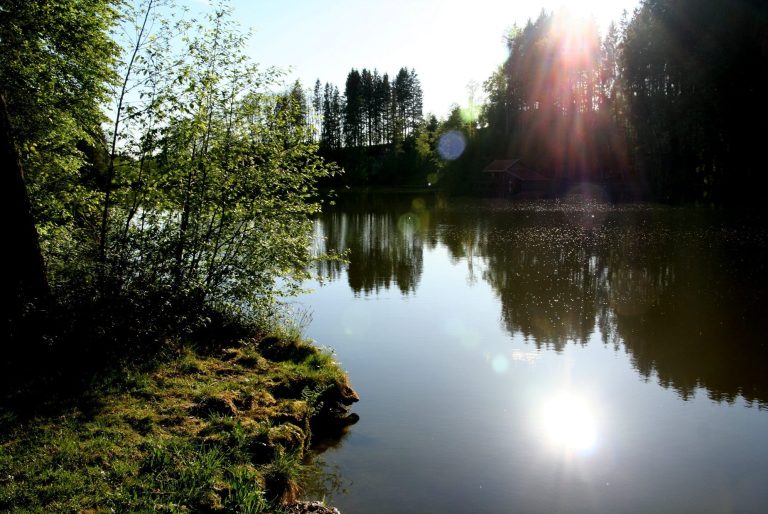 Am Friedlsee bei Amerang